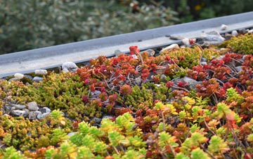 the cost of Prudhoe green roof installation